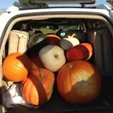 Mabey Farms Pumpkin Patch photo