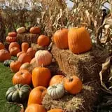 Mabey Farms Pumpkin Patch photo