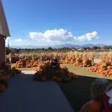 Mabey Farms Pumpkin Patch photo
