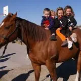 Mabey Farms Pumpkin Patch photo