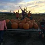 Mabey Farms Pumpkin Patch photo