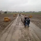 Mabey Farms Pumpkin Patch photo