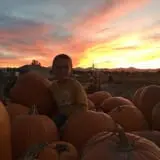 Mabey Farms Pumpkin Patch photo