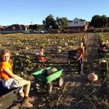 Mabey Farms Pumpkin Patch photo