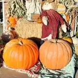 Mabey Farms Pumpkin Patch photo