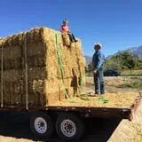 Mabey Farms Pumpkin Patch photo
