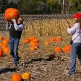 Mabey Farms Pumpkin Patch photo