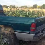 Mabey Farms Pumpkin Patch photo