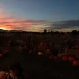 Mabey Farms Pumpkin Patch photo