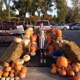 Mabey Farms Pumpkin Patch photo