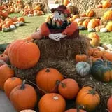 Mabey Farms Pumpkin Patch photo