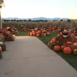 Mabey Farms Pumpkin Patch photo