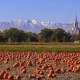 Mabey Farms Pumpkin Patch photo
