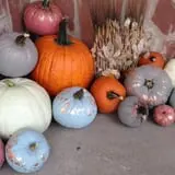 Mabey Farms Pumpkin Patch photo