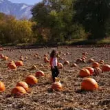 Mabey Farms Pumpkin Patch photo
