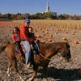 Mabey Farms Pumpkin Patch photo
