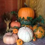 Mabey Farms Pumpkin Patch photo