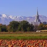 Mabey Farms Pumpkin Patch photo