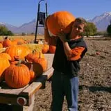 Mabey Farms Pumpkin Patch photo