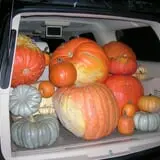 Mabey Farms Pumpkin Patch photo