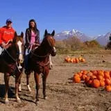 Mabey Farms Pumpkin Patch photo