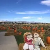 Mabey Farms Pumpkin Patch photo