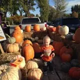 Mabey Farms Pumpkin Patch photo