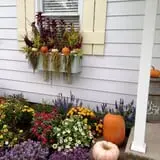 Mabey Farms Pumpkin Patch photo