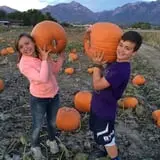 Mabey Farms Pumpkin Patch photo