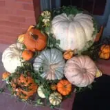 Mabey Farms Pumpkin Patch photo