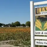 Mabey Farms Pumpkin Patch photo