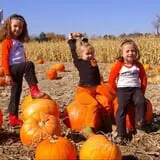Mabey Farms Pumpkin Patch photo