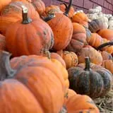 Mabey Farms Pumpkin Patch photo
