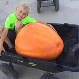 Mabey Farms Pumpkin Patch photo