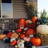 Mabey Farms Pumpkin Patch photo