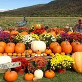 Smithome Farms photo