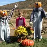 Smithome Farms photo
