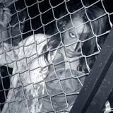 Psycho Trail home haunt  photo