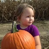 The Mccann Farm Corn Maze & Pumpkin Patch photo