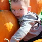The Mccann Farm Corn Maze & Pumpkin Patch photo