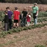 The Mccann Farm Corn Maze & Pumpkin Patch photo
