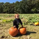 The Mccann Farm Corn Maze & Pumpkin Patch photo
