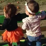 The Mccann Farm Corn Maze & Pumpkin Patch photo