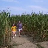 The Mccann Farm Corn Maze & Pumpkin Patch photo