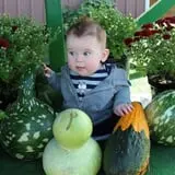 The Mccann Farm Corn Maze & Pumpkin Patch photo