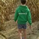 The Mccann Farm Corn Maze & Pumpkin Patch photo