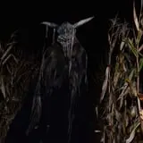 Field of Screams photo