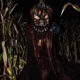 Field of Screams photo