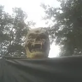 Orlando Haunted Maze