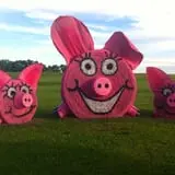 Molnar Farms photo